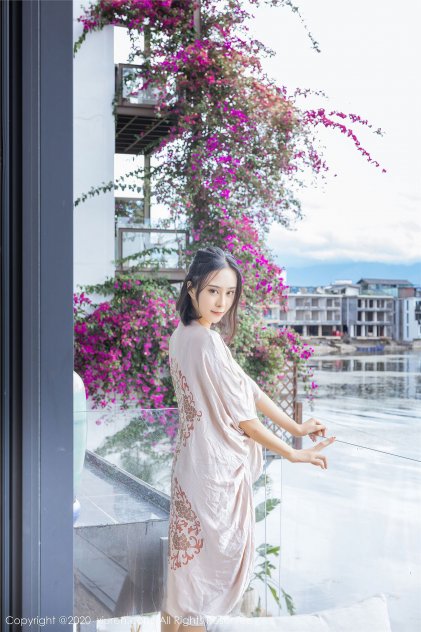 盗墓追缉